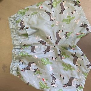 Men’s swim shorts